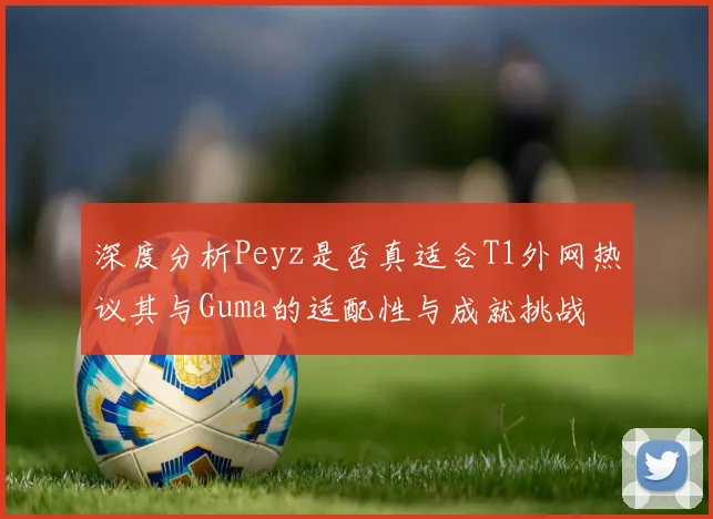 深度分析Peyz是否真适合T1外网热议其与Guma的适配性与成就挑战